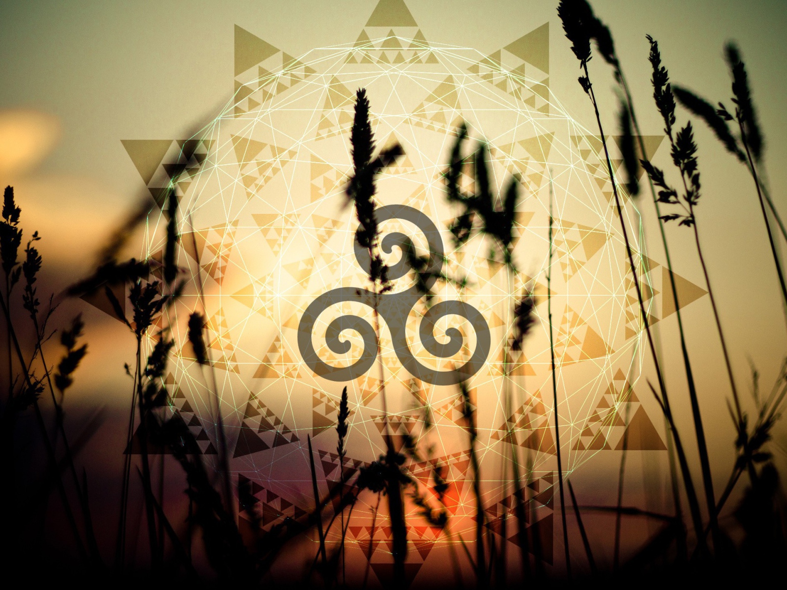 Символ солнца на фоне колосков