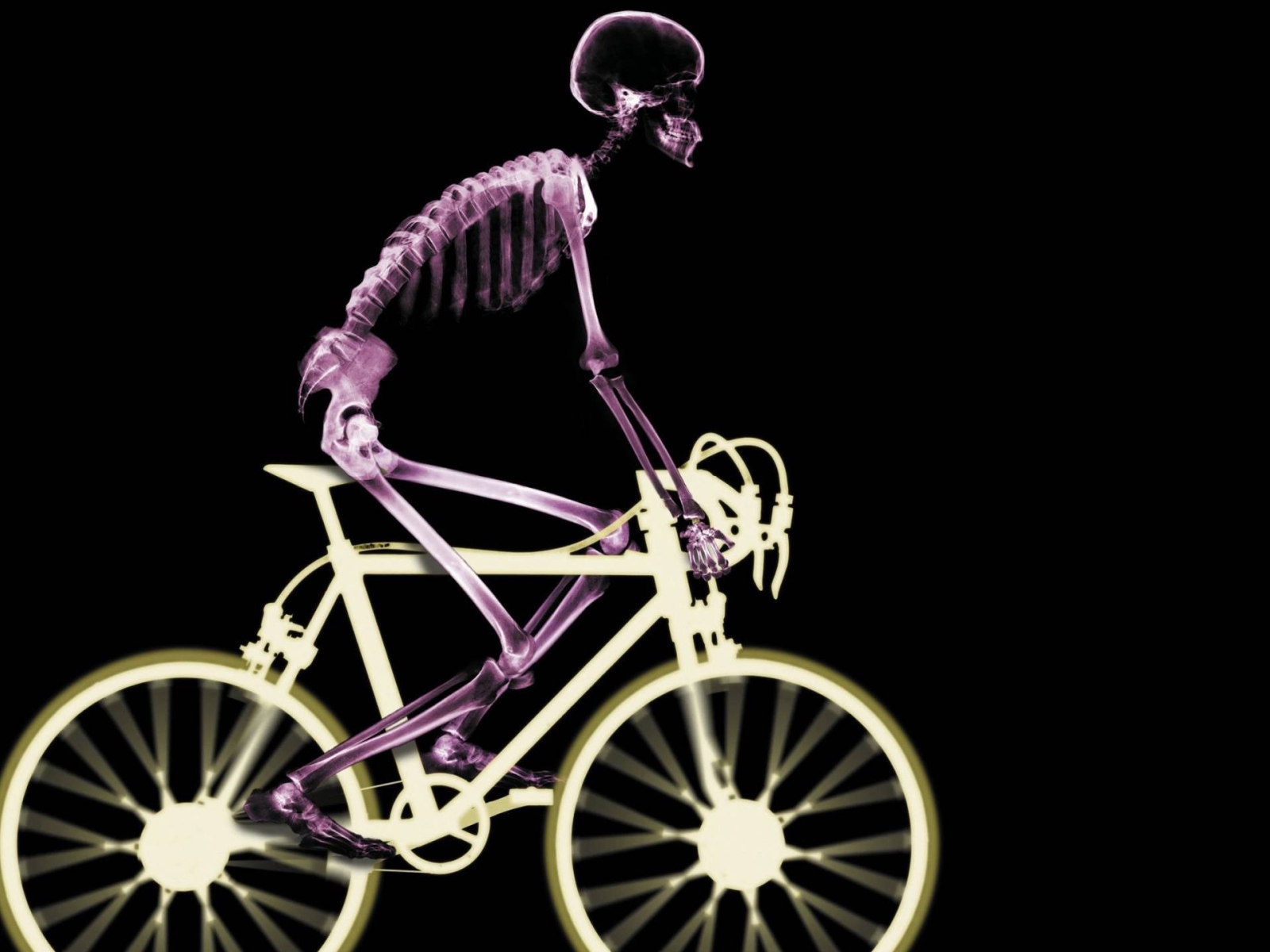 Рентген человека на велосипеде