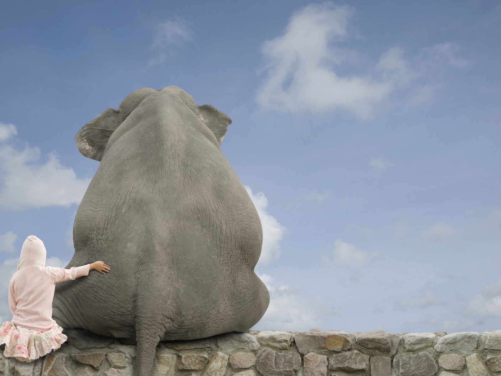 Девочка обнимает слона