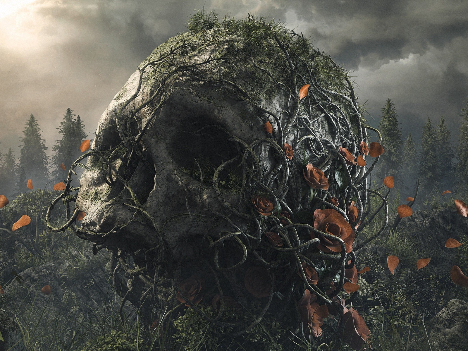 Поросший лианами большой череп