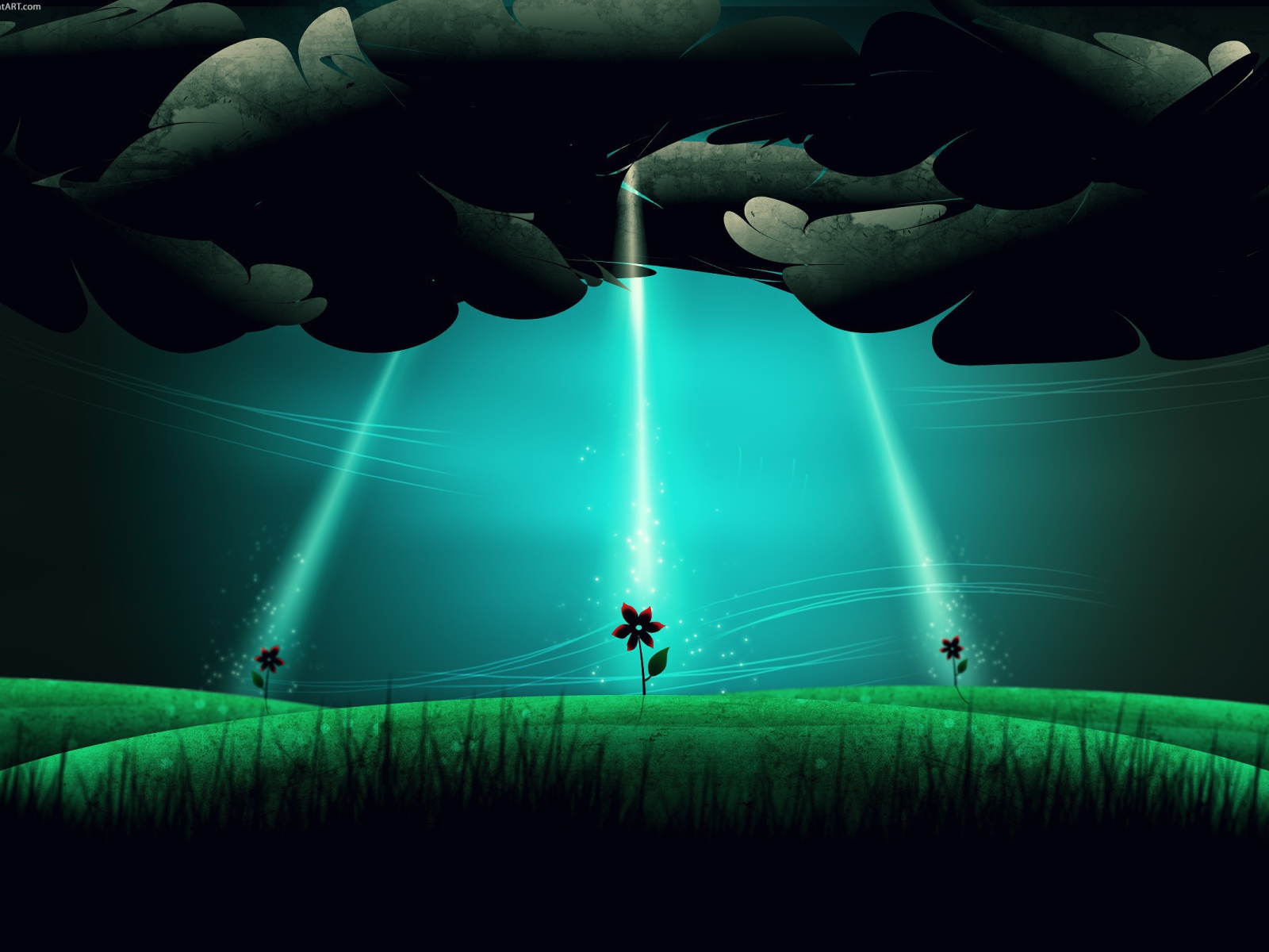 НЛО высаживает цветы на поле