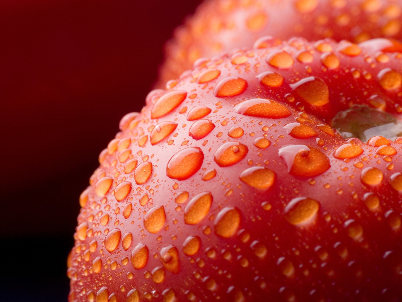 Влажный красный помидор