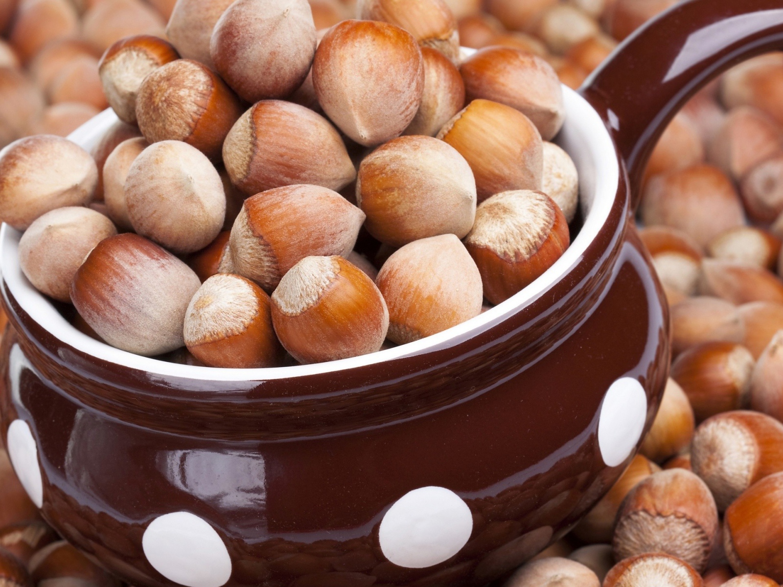 Лесные орехи в чашке