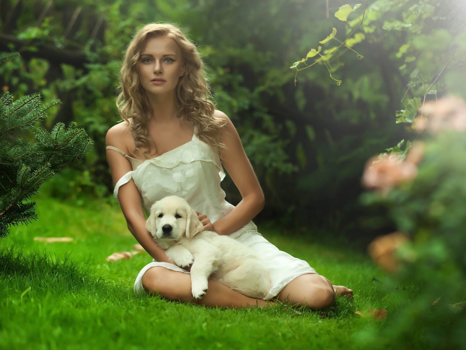 Девушка в белом платье с белым щенком