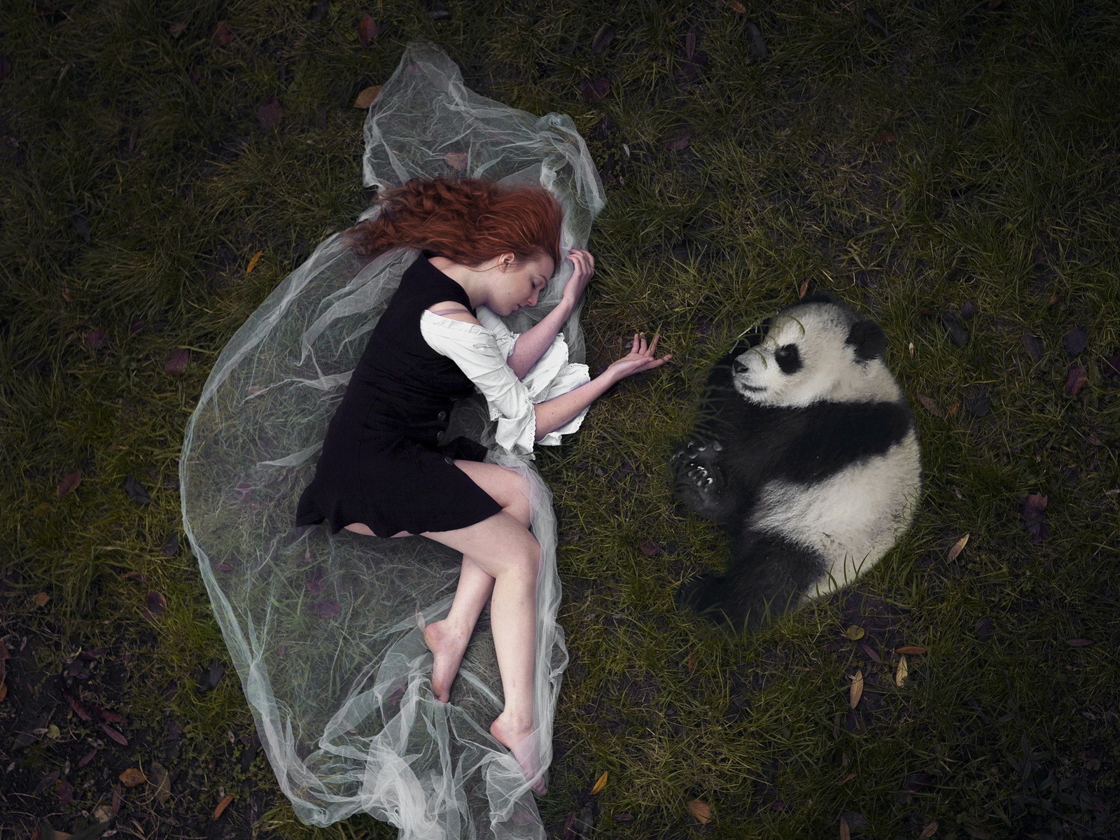 Девушка и панда лежат рядом на траве
