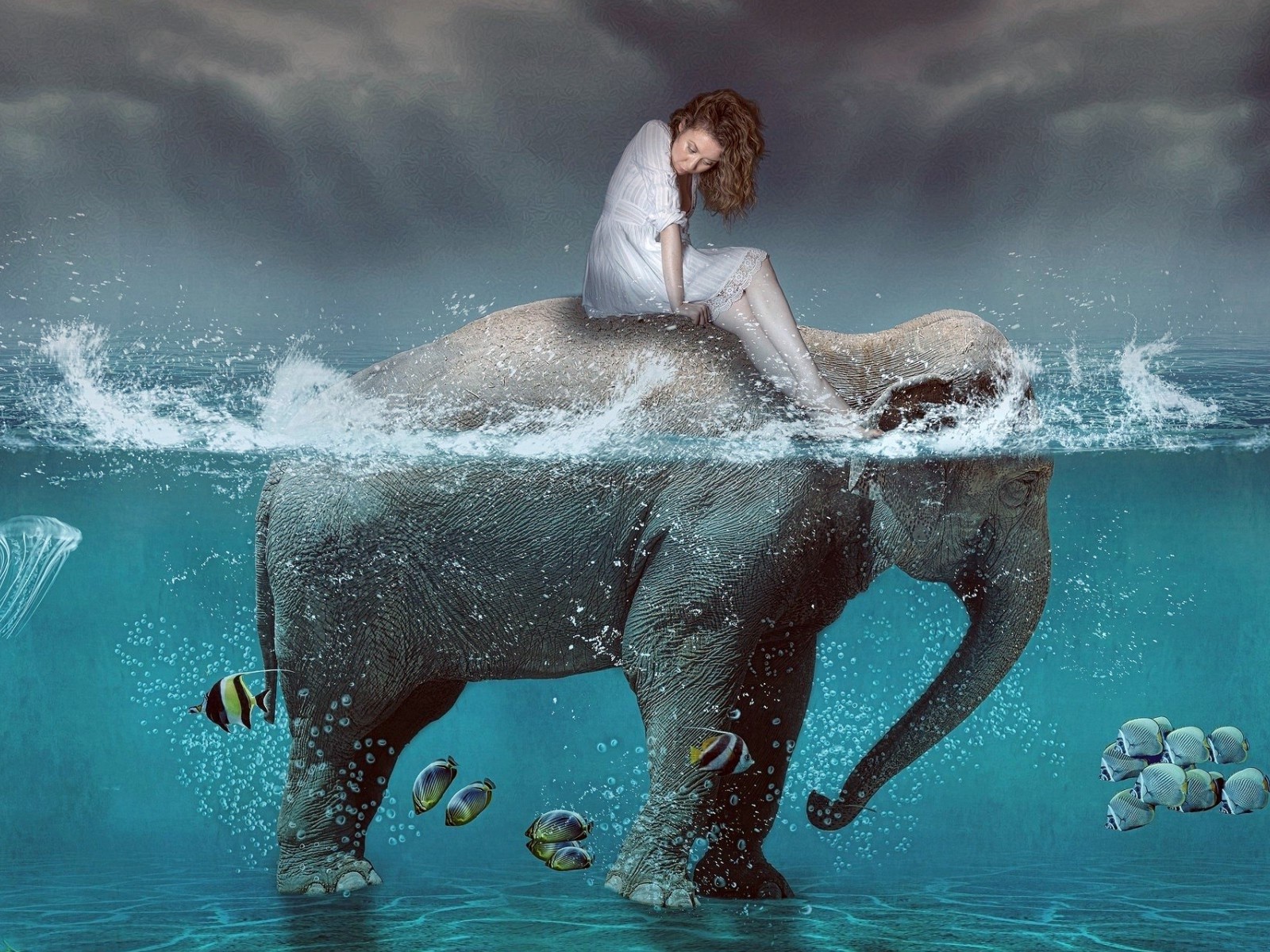 Девушка на спине слона