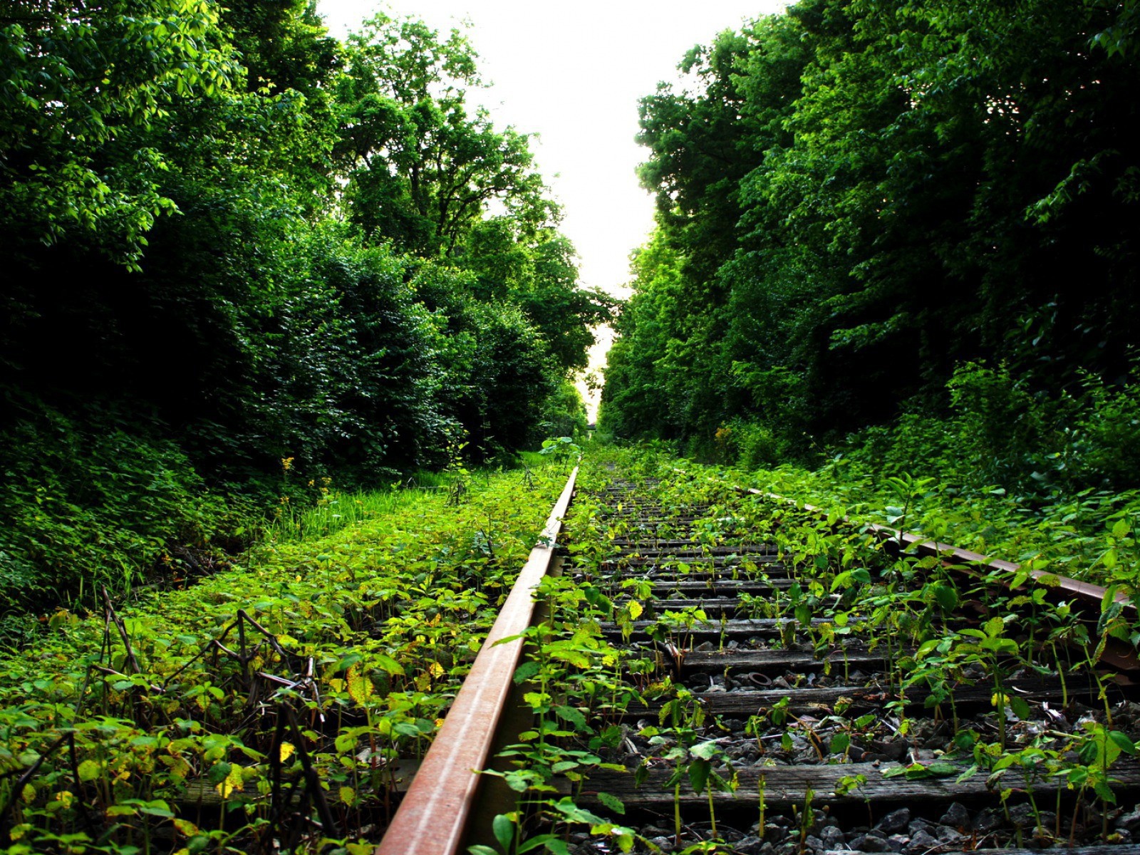 Заброшенный железнодорожный путь
