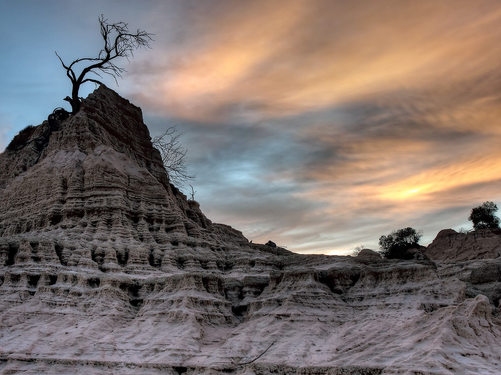 Засохшее дерево на вершине мертвой скалы