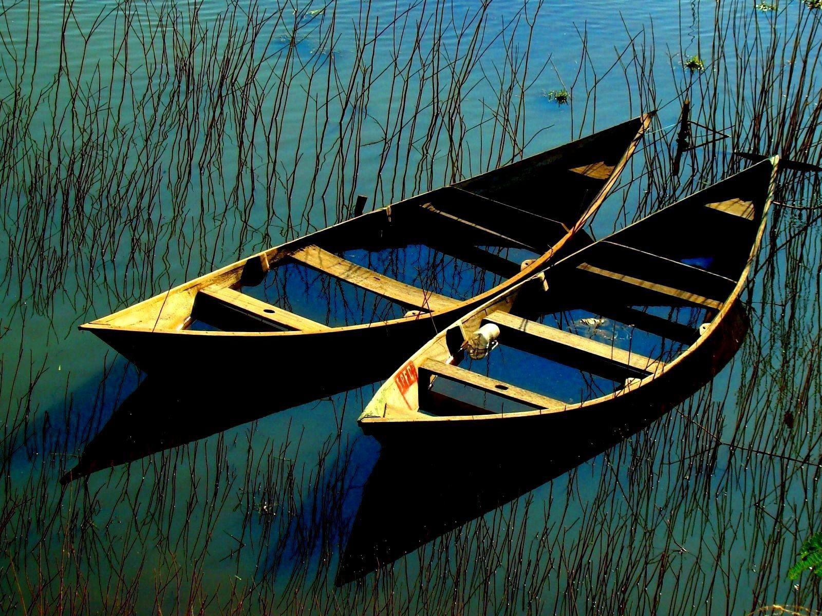 Затопленные лодки в зарослях