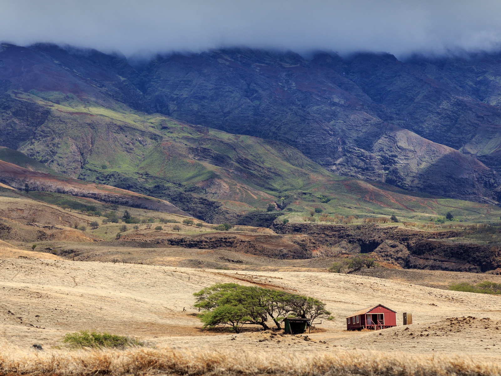 Домик у дерева в пустынной горной местности