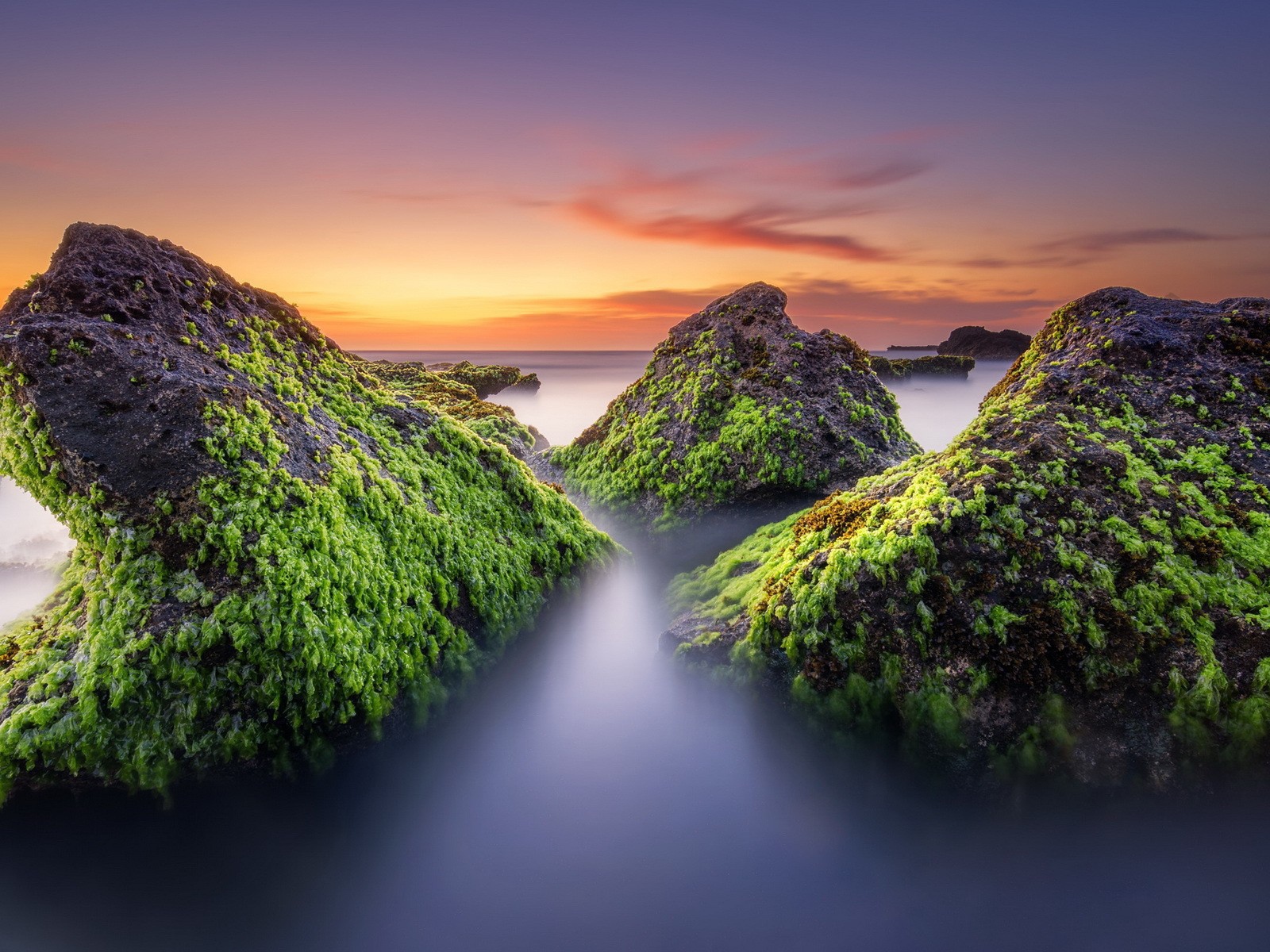 Поросшие мхом скалы в тумане