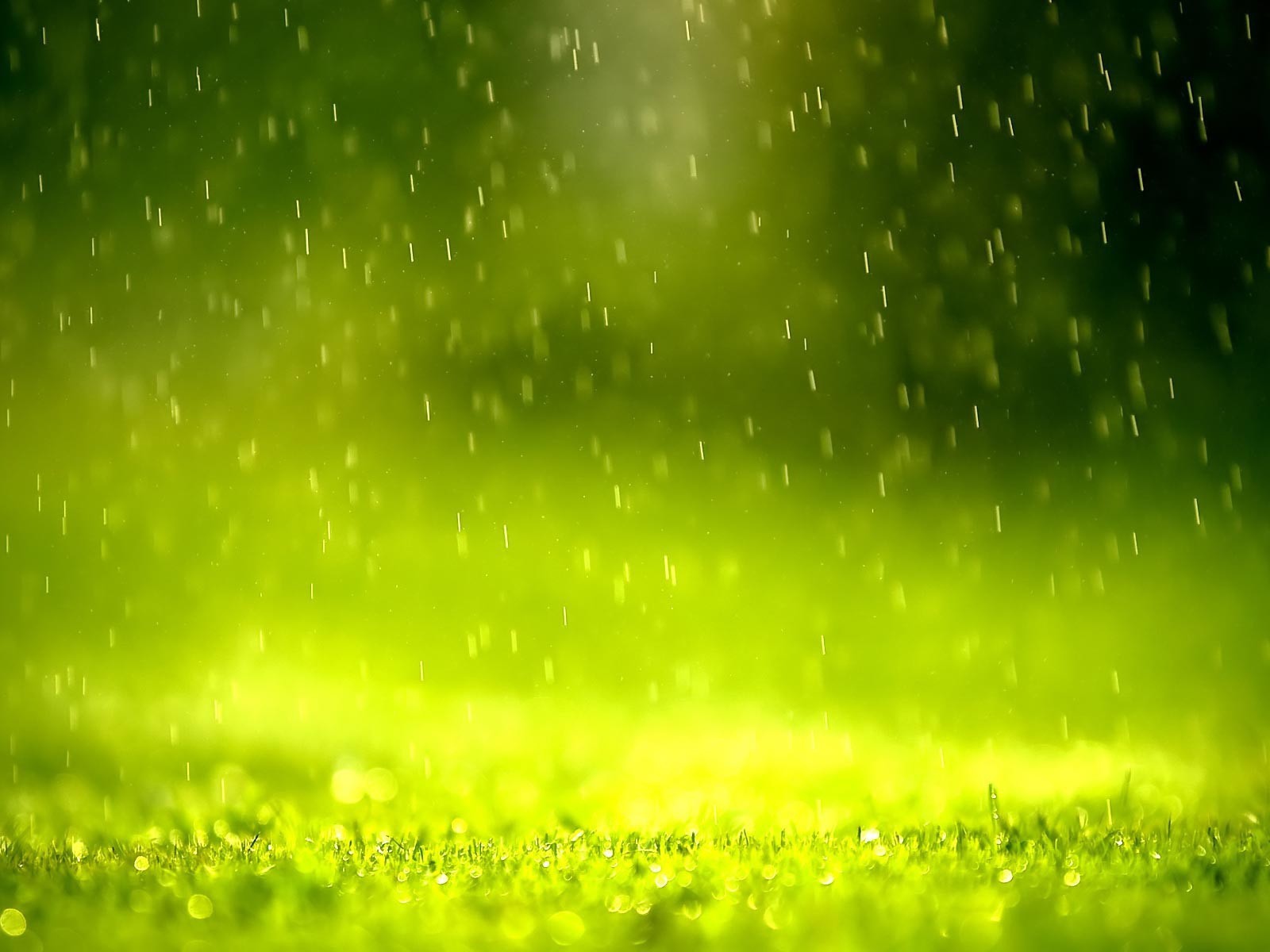 Дождь в зеленой дымке