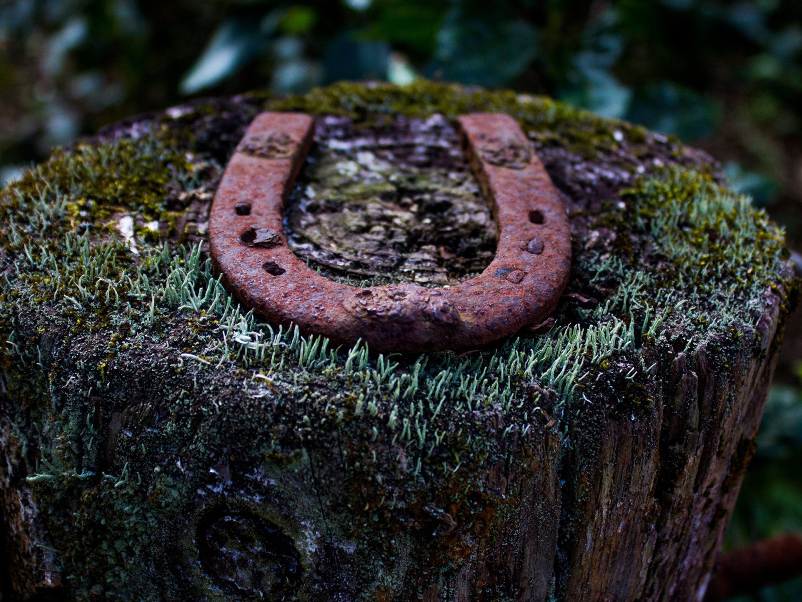 Ржавая подкова на пеньке