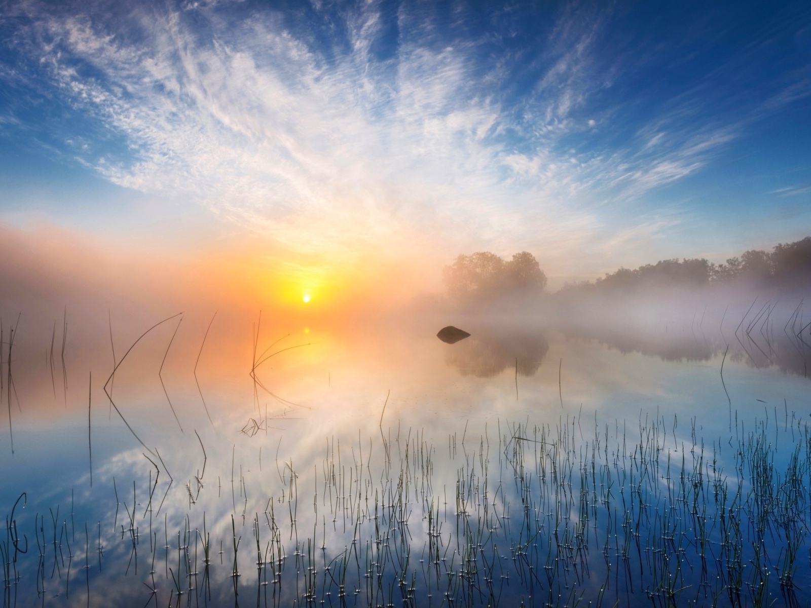 Желтое солнце в утреннем тумане