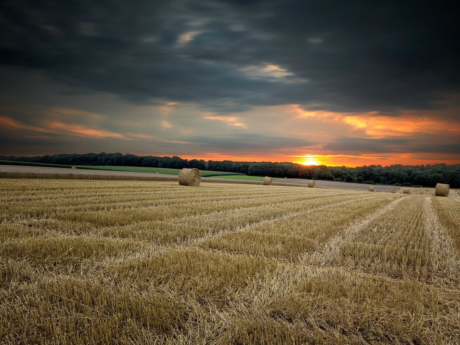 Убранное поле с сеном