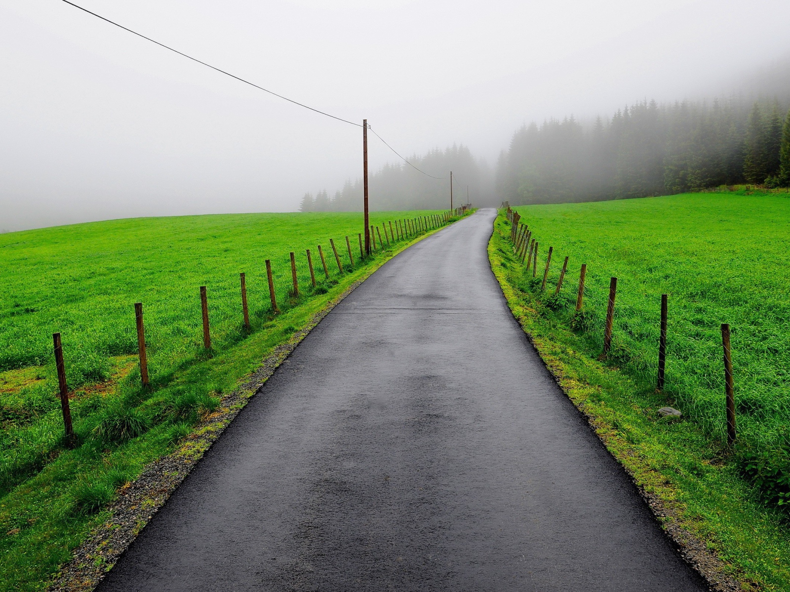 Мокрая дорога между зеленых полей