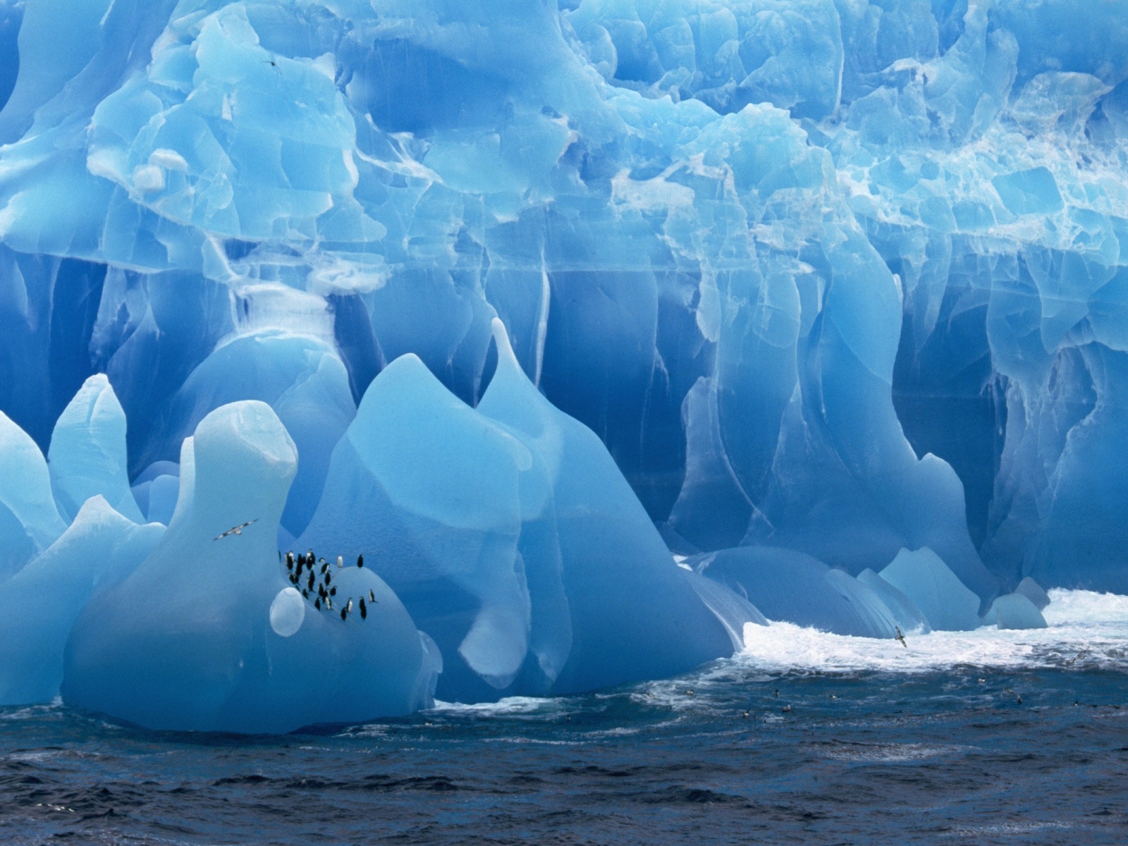 Великолепный голубой ледник