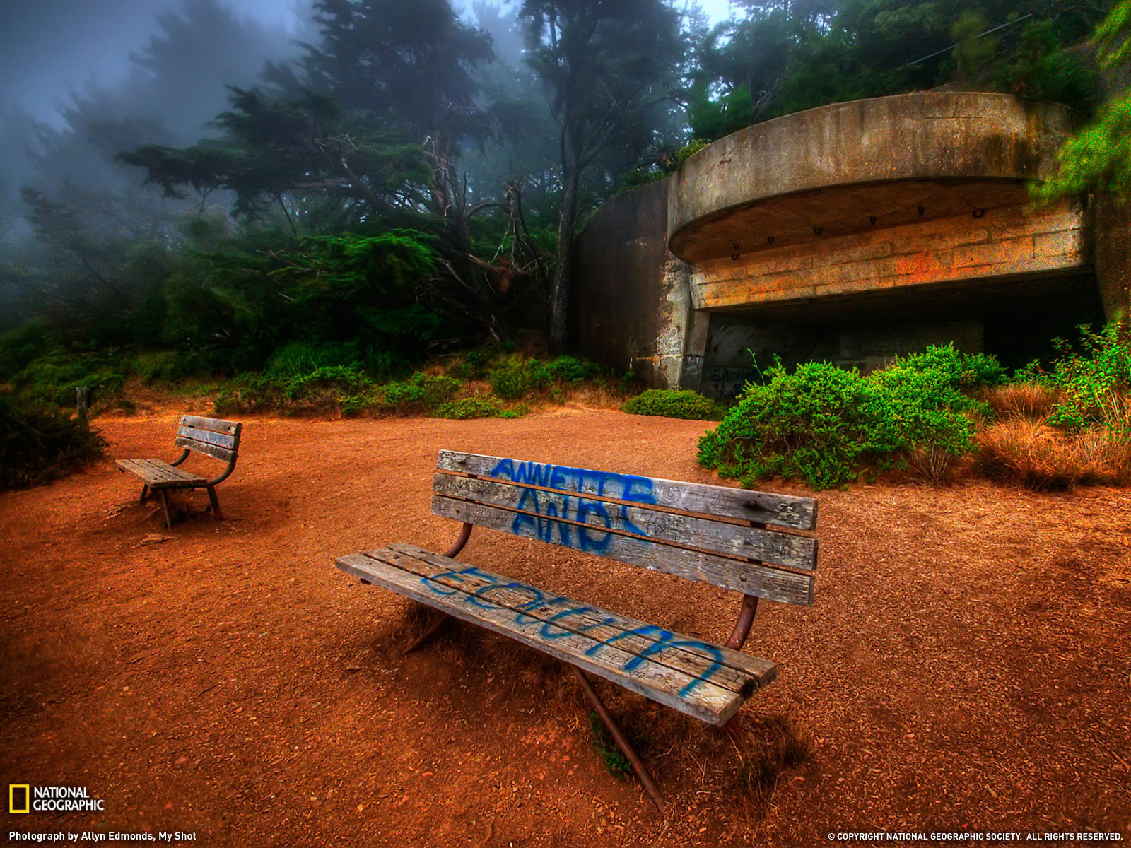 Надпись на скамейке