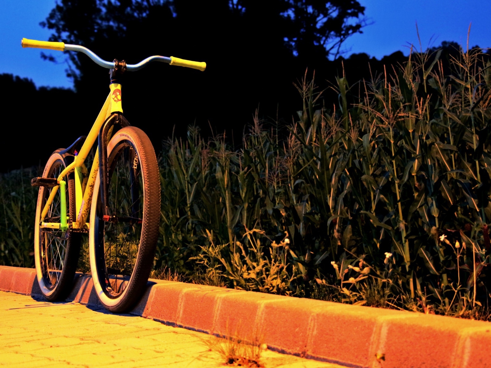Желтый велосипед у обочины