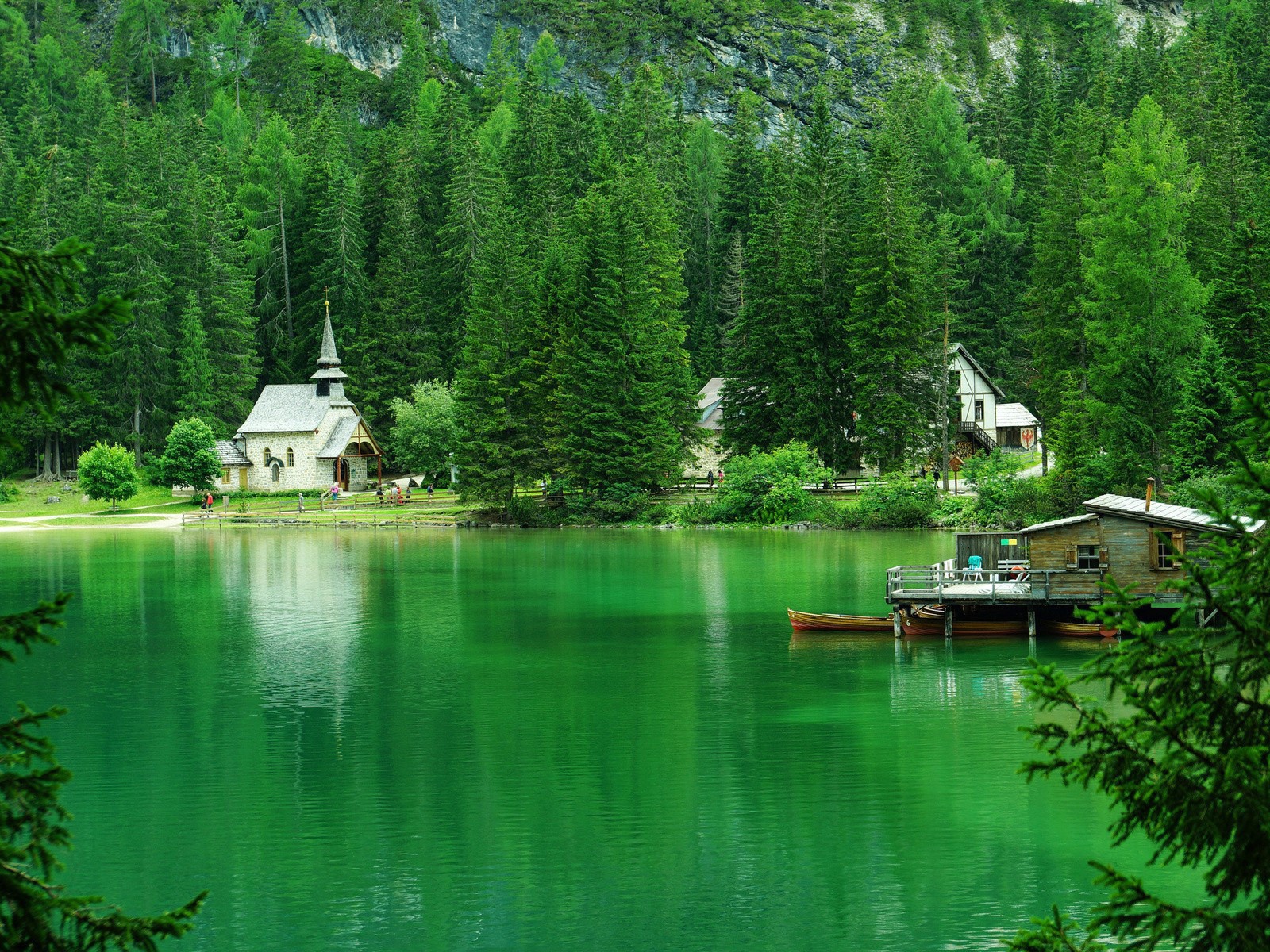 Хвойные деревья вокруг зеленого озера