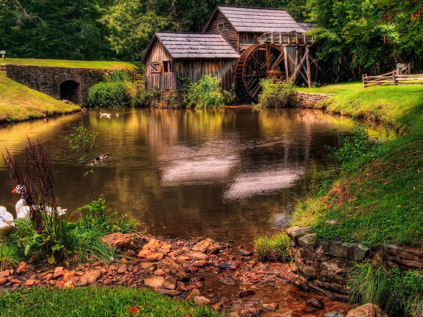 Пруд у деревянной мельницы
