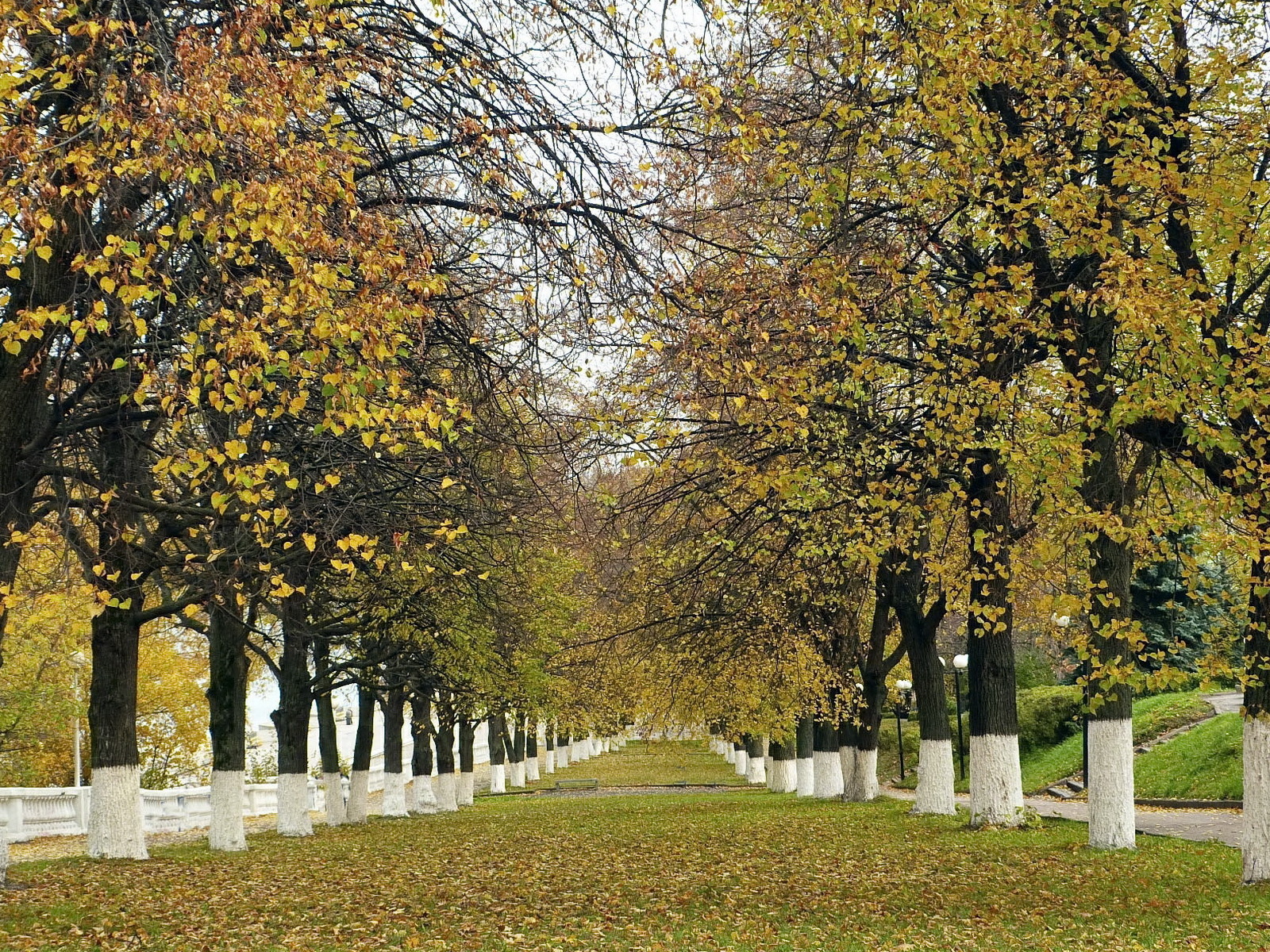 Аккуратная аллея в осеннем парке