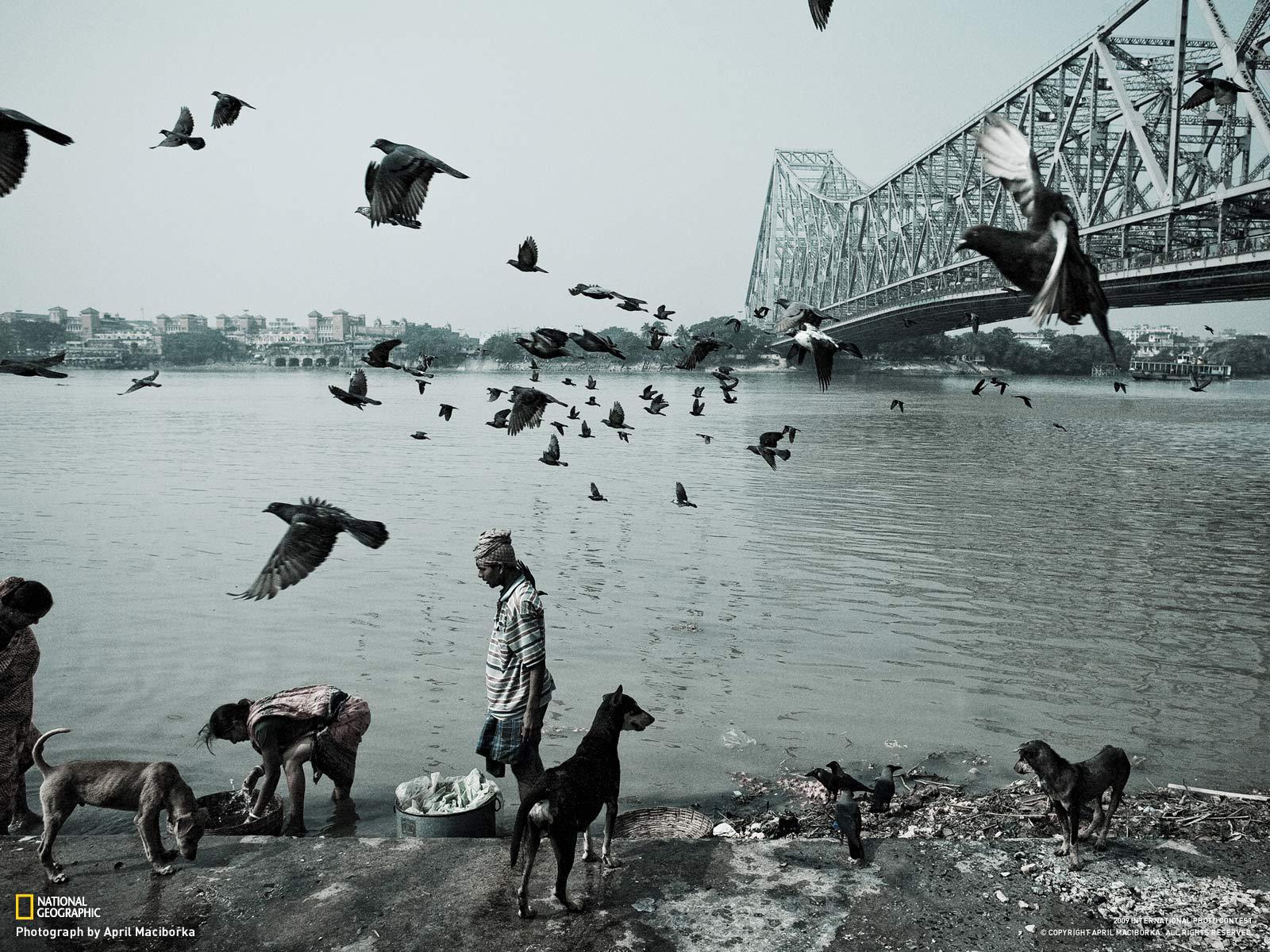 Жизнь людей и животных