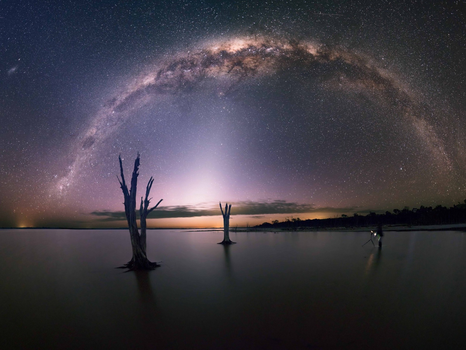 Остатки деревьев на озере под звездами