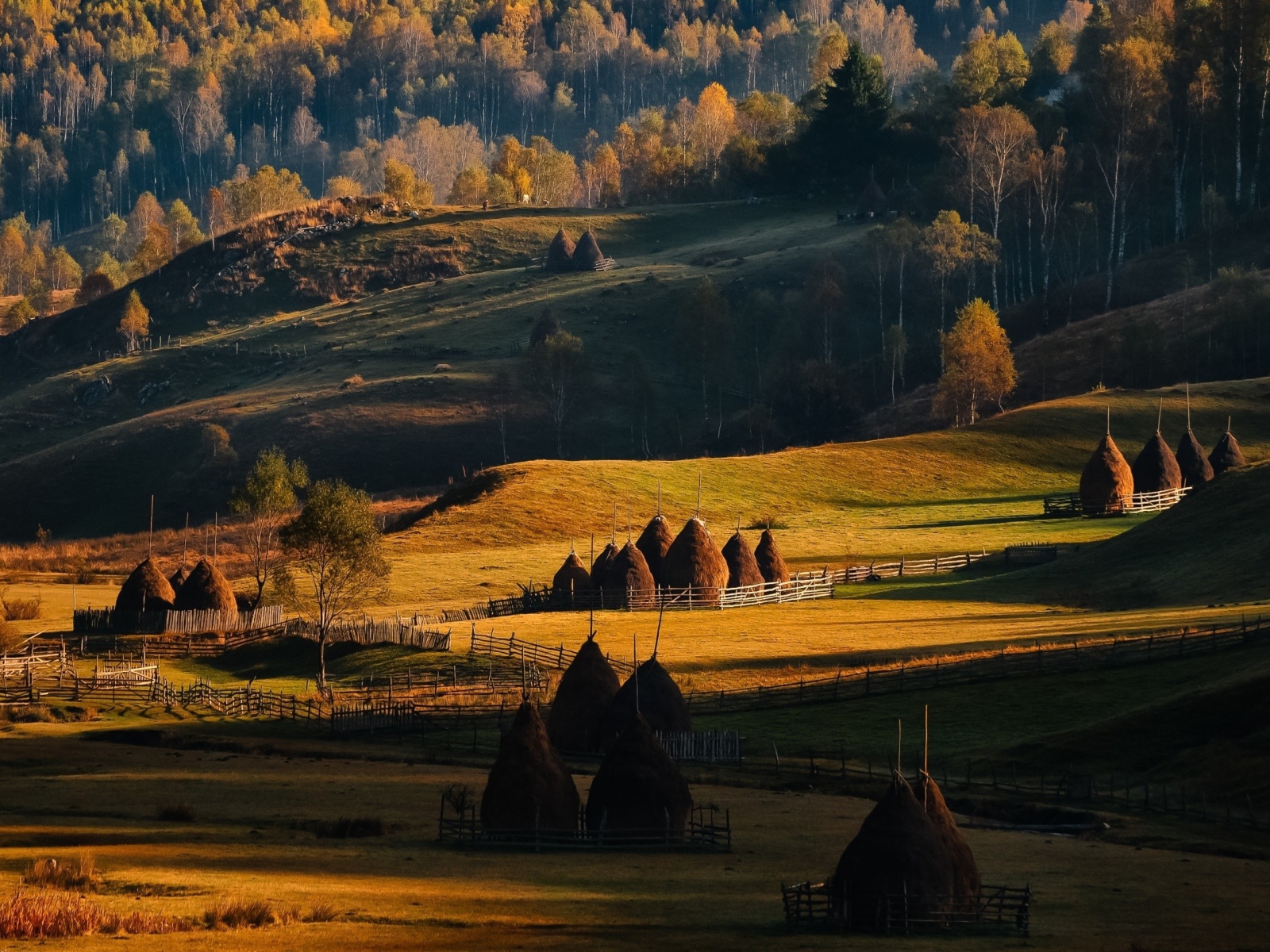 Сельский пейзаж в Румынии