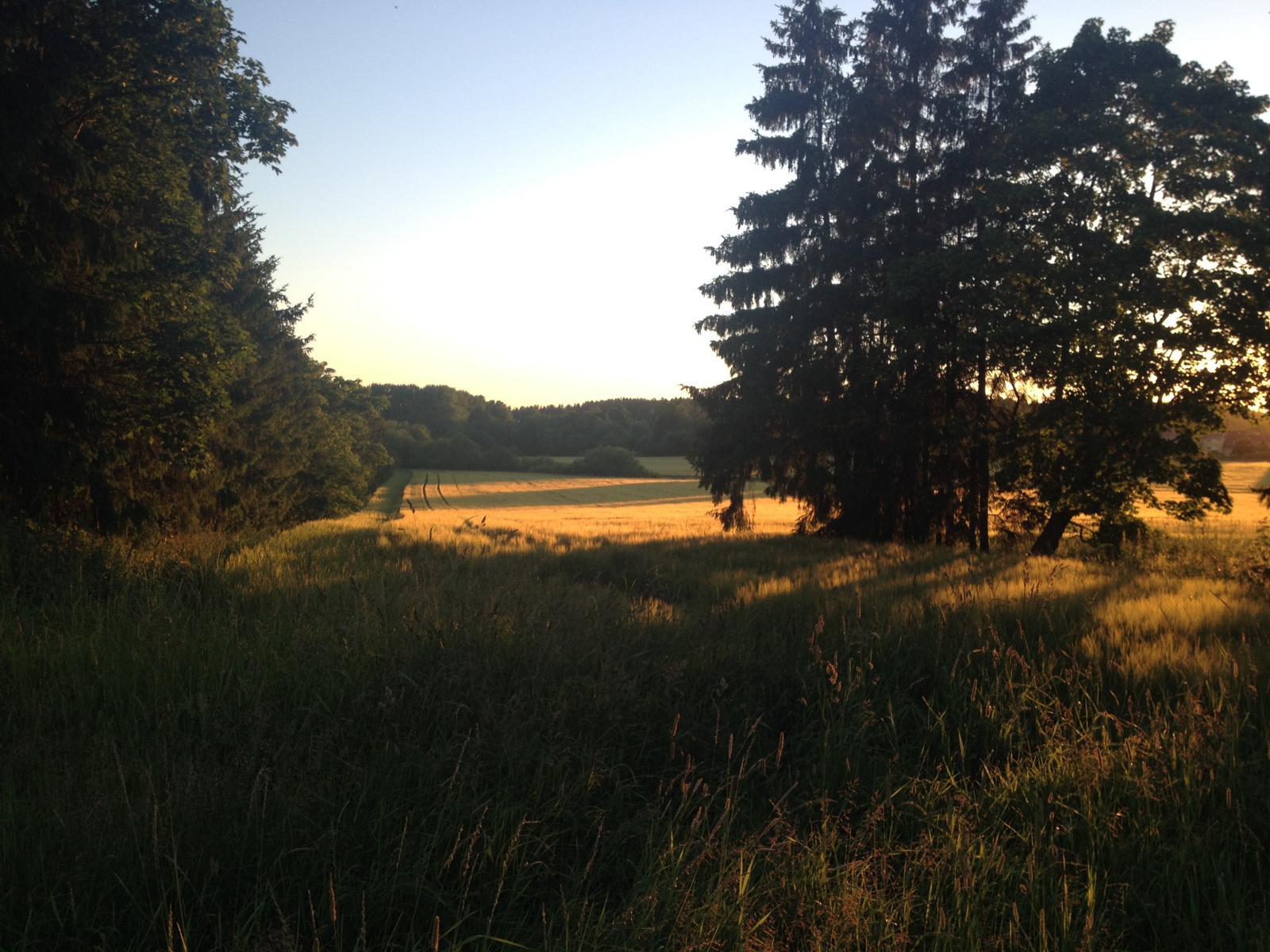 Летний пейзаж в Финляндии