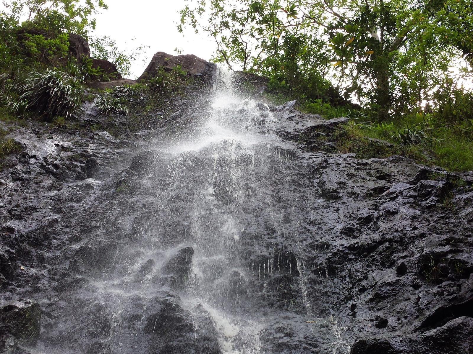 Заповедник Ka‘Au Crater на Гавайях
