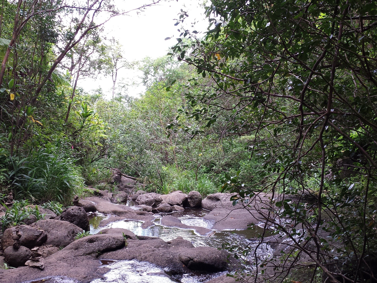 Река в Ka‘Au Crater, Гавайи