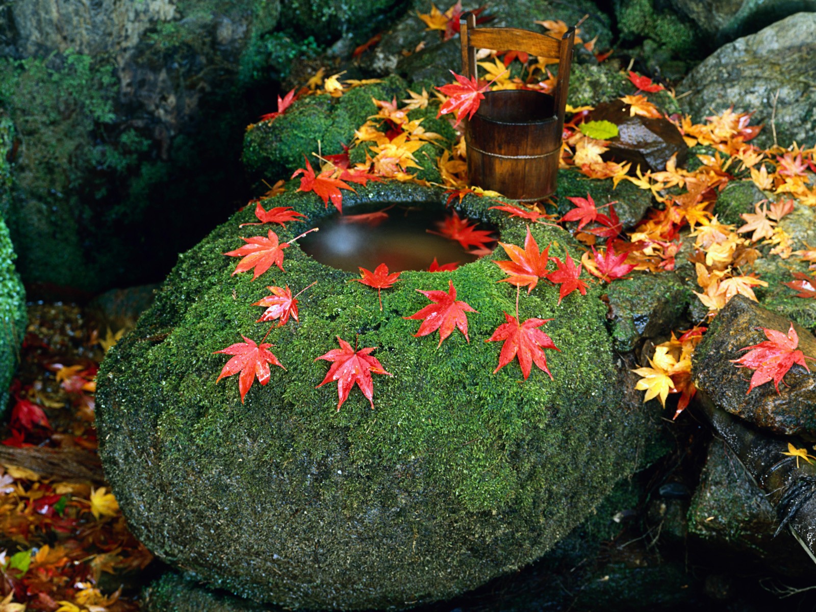 Колодец в камне, Япония