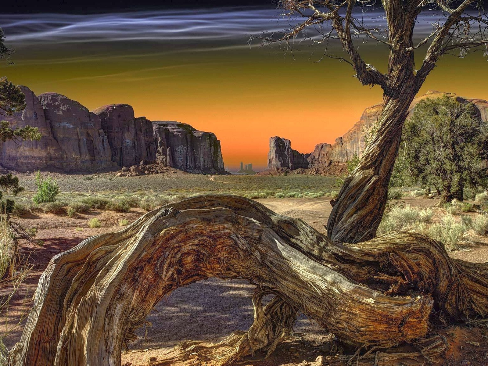 Сухое дерево в Долине монументов, США