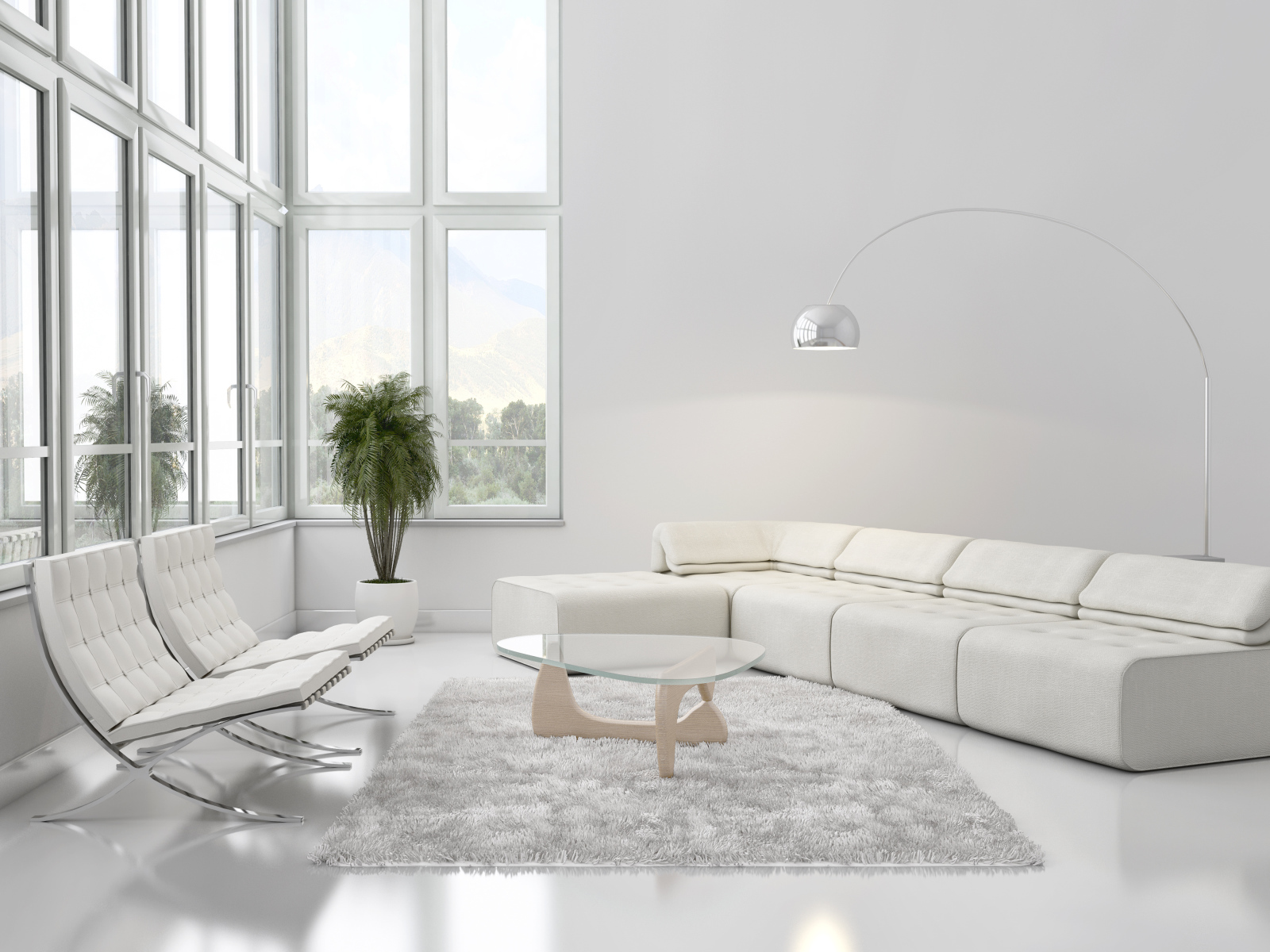 Все белое кроме растения