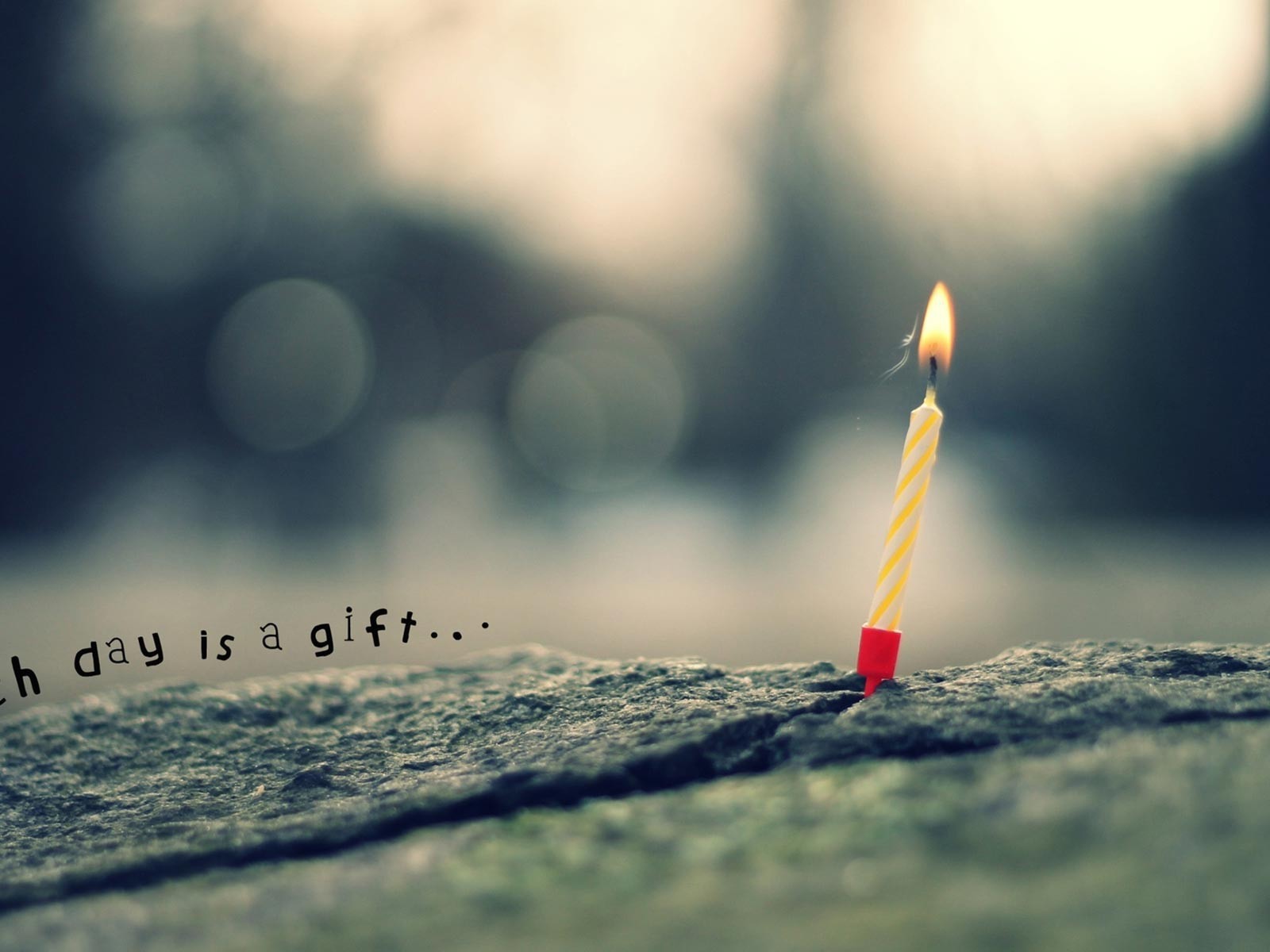 Каждый день это подарок