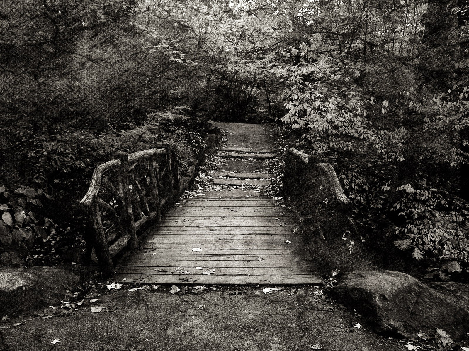 Эффект холста на черно белом фото