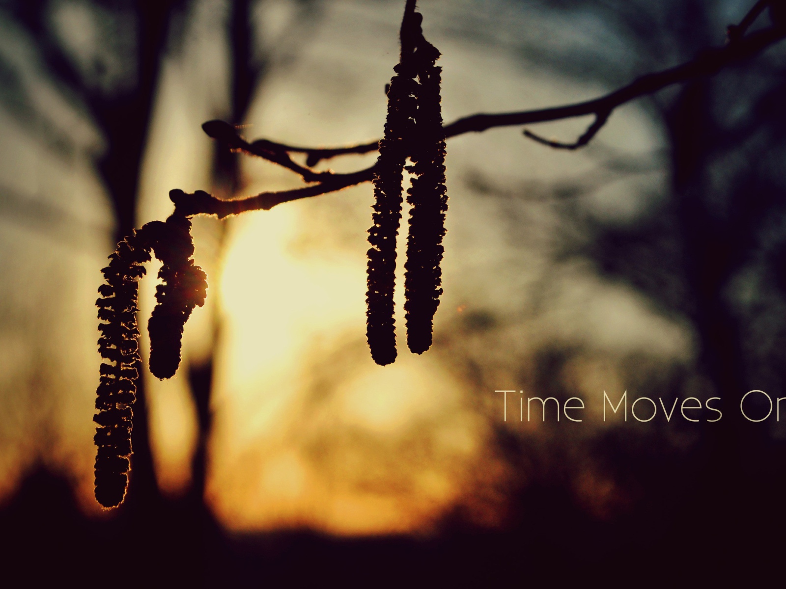 Время идет вперед