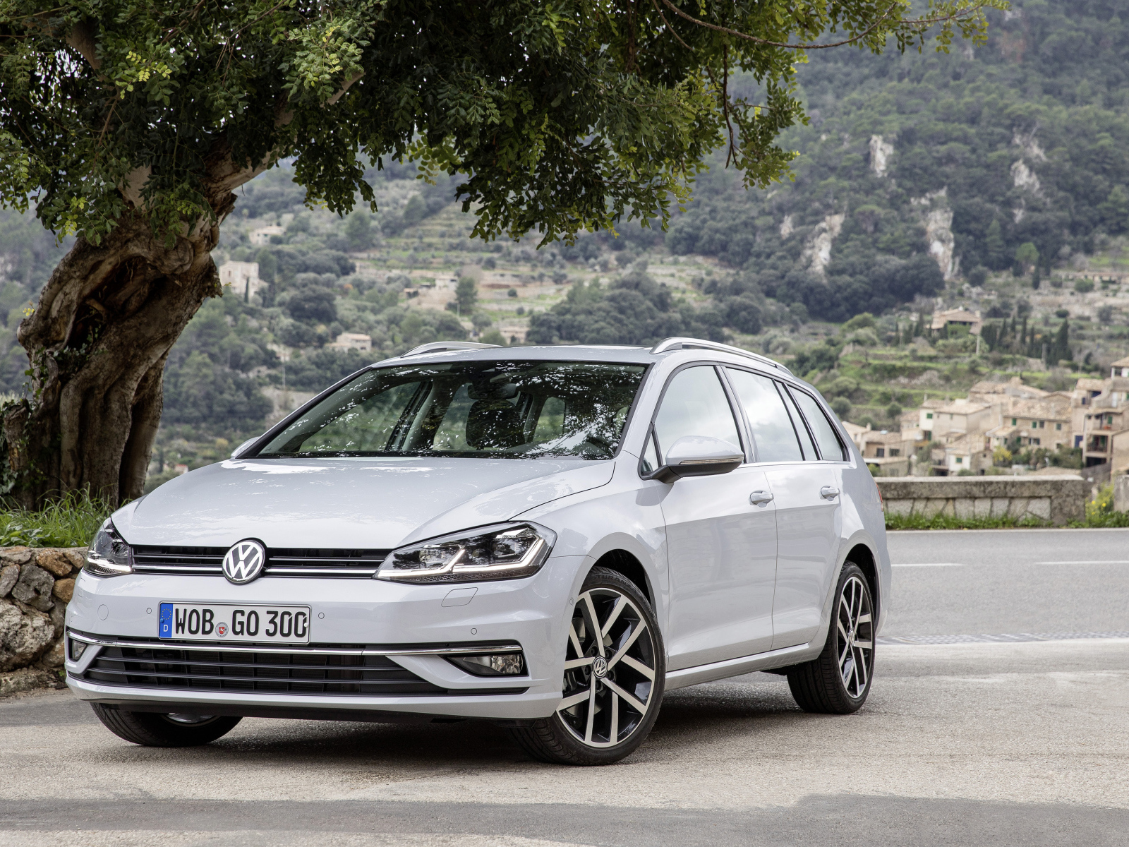 Серебристый Volkswagen Golf TDI Variant Worldwide (Typ 5G), 2017 под деревом 