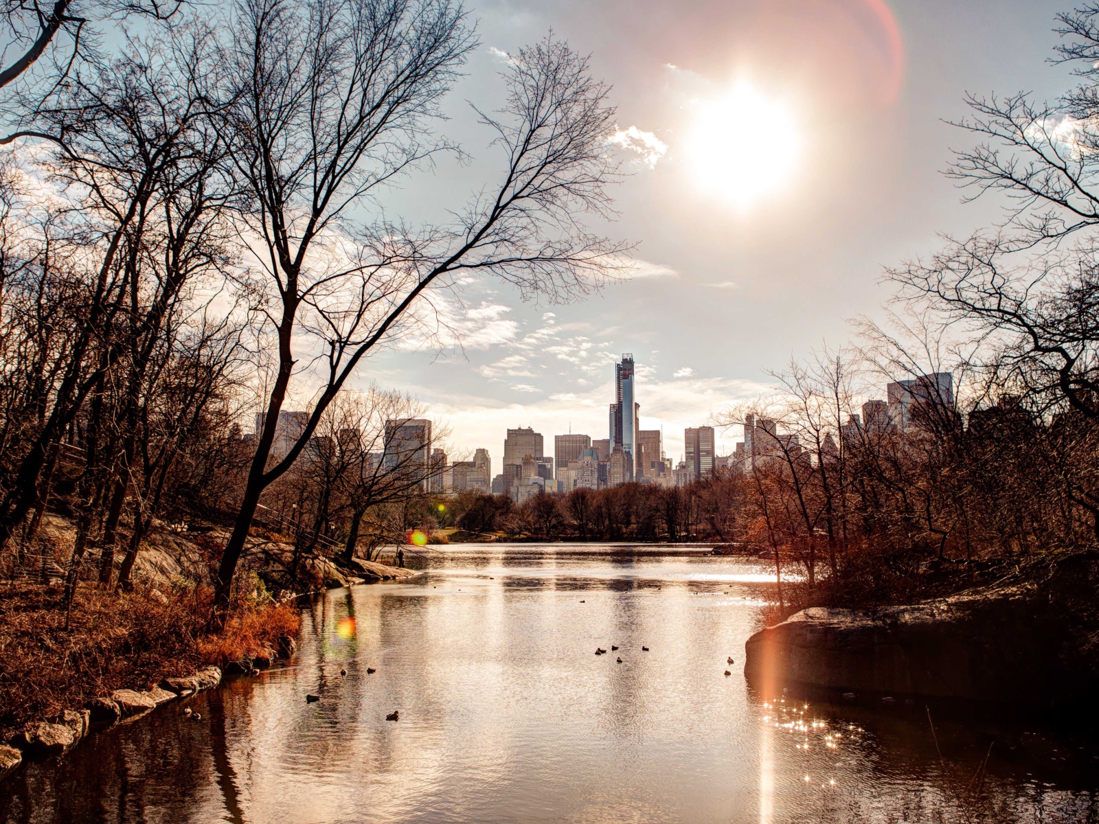 Вид на небоскребы из  городского парка 