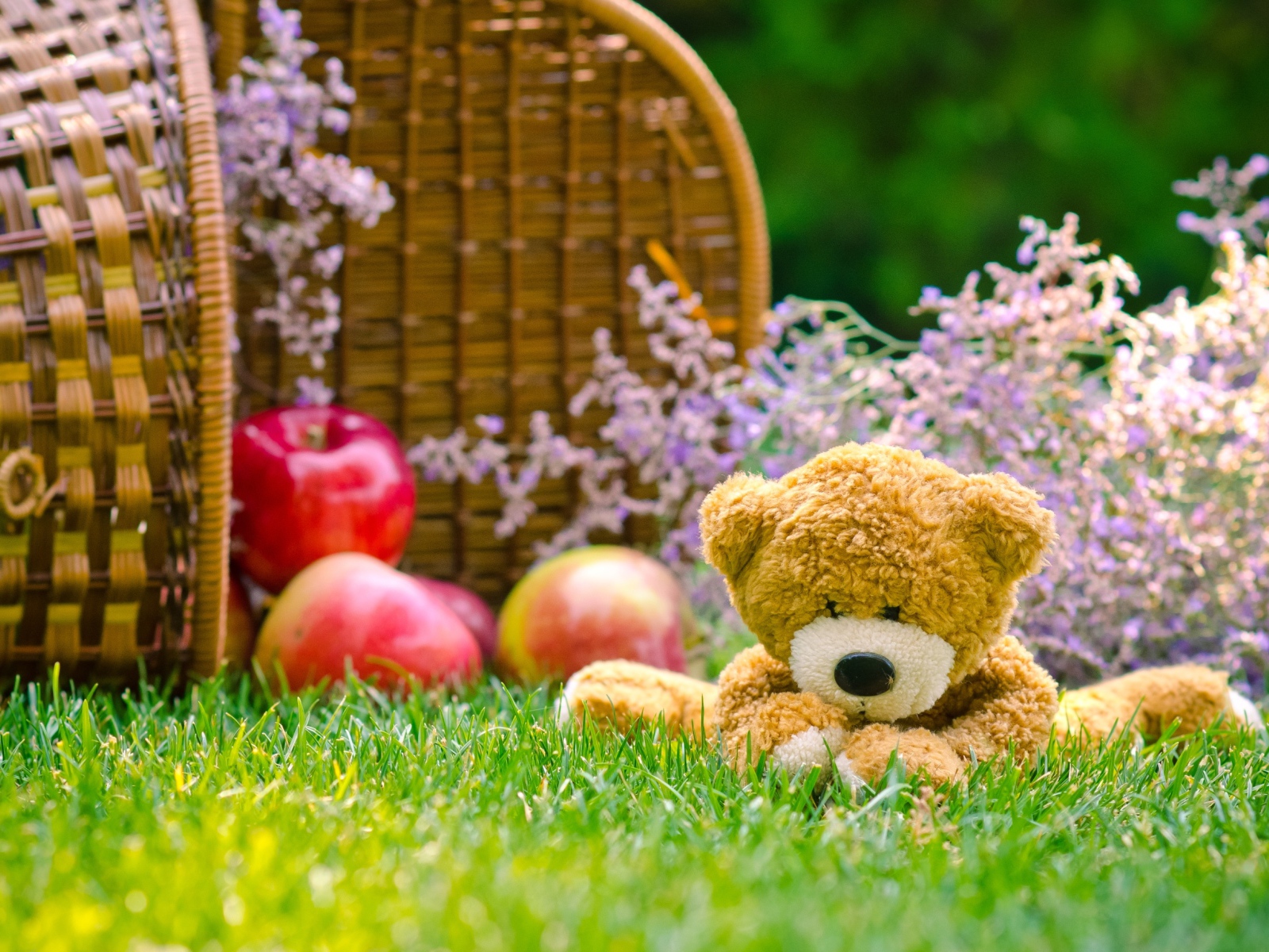 Мягкая игрушка медвежонок Тедди сидит на зеленой траве с корзиной яблок