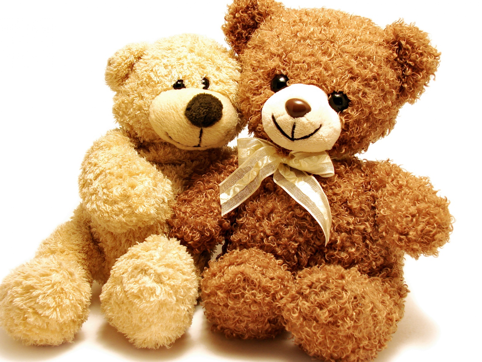 Два плюшевых медвежонка на белом фоне