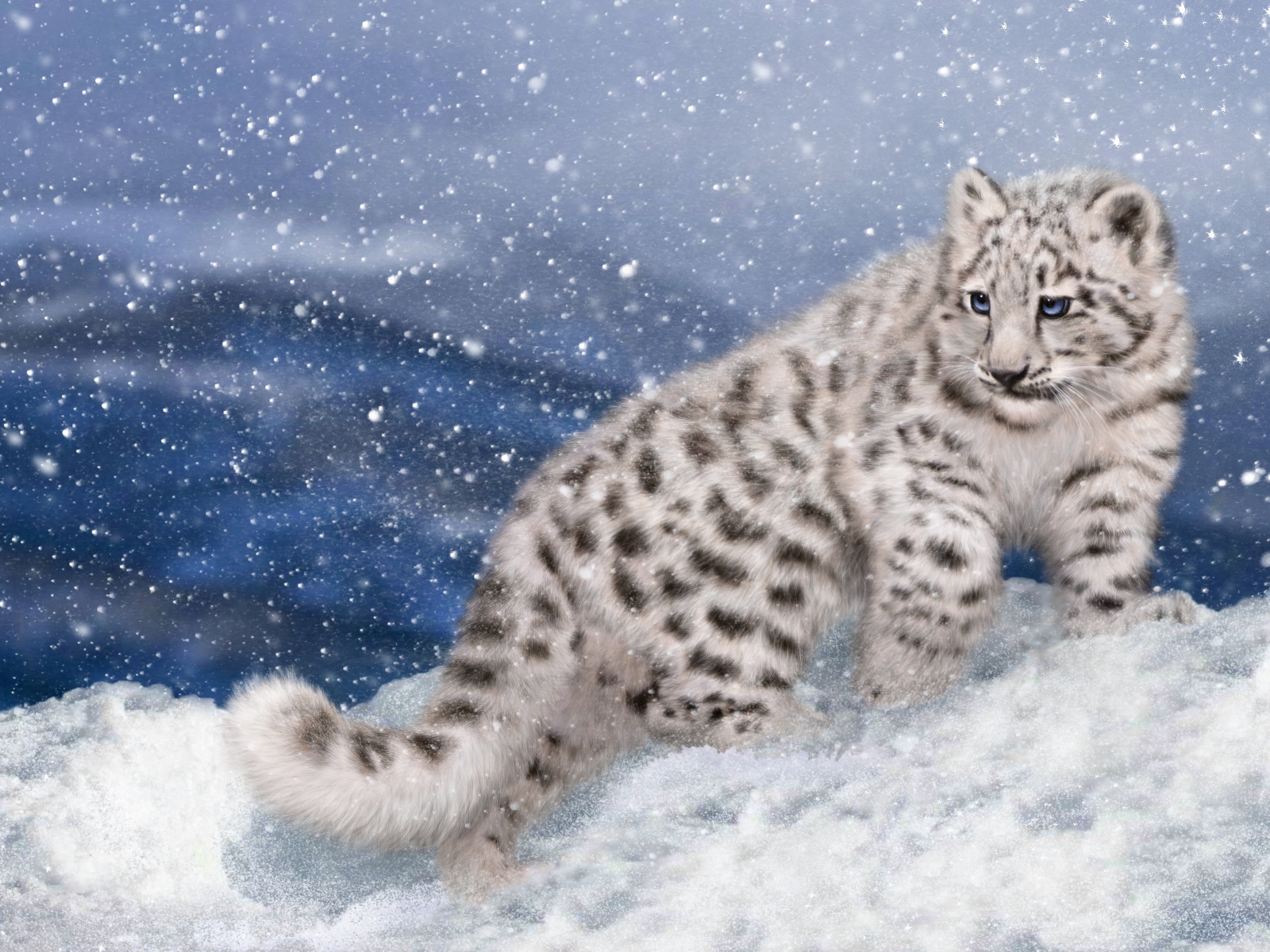 A painted snow leopard is walking along the snow