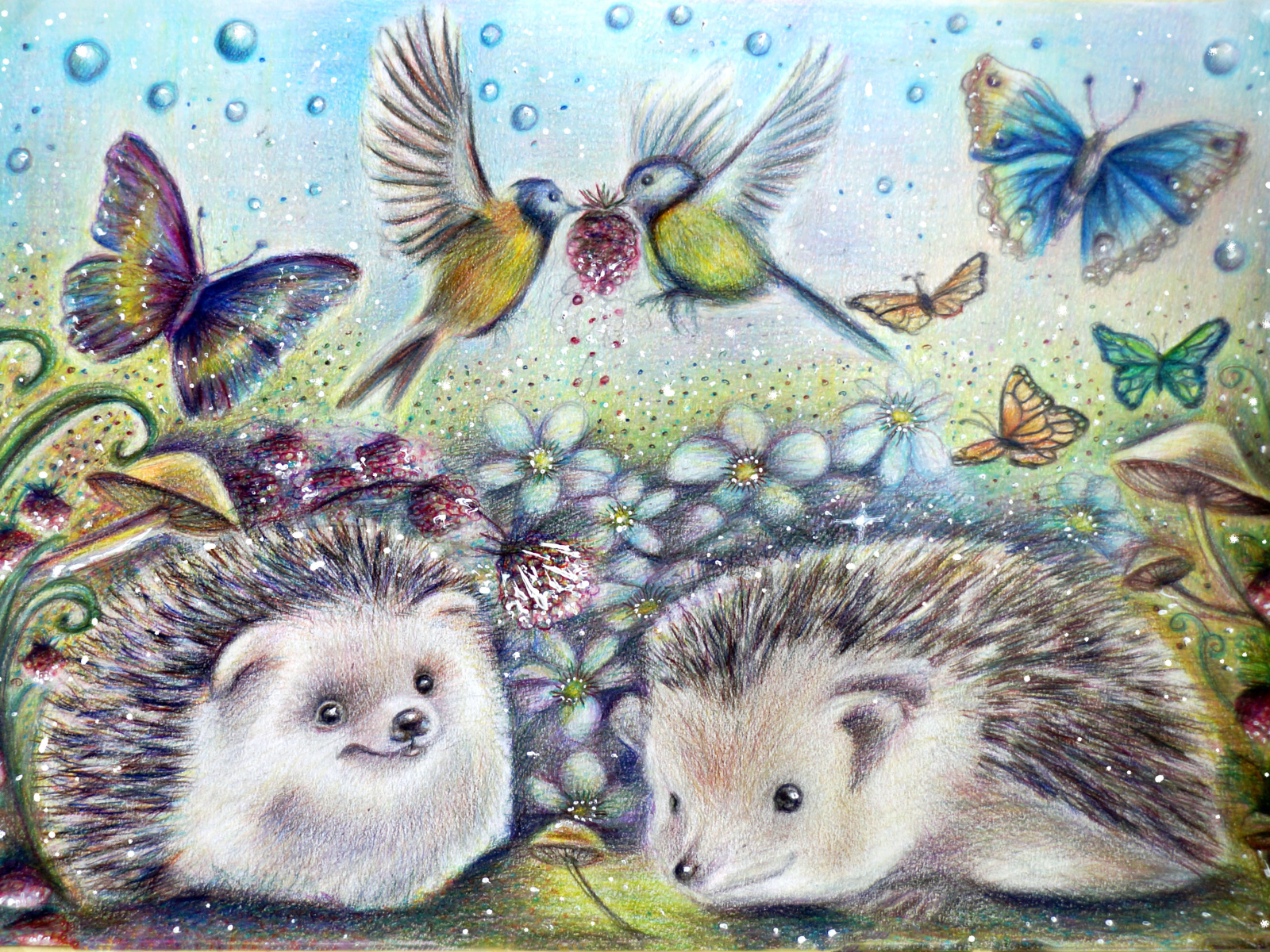 Drawn hedgehogs with butterflies and birds