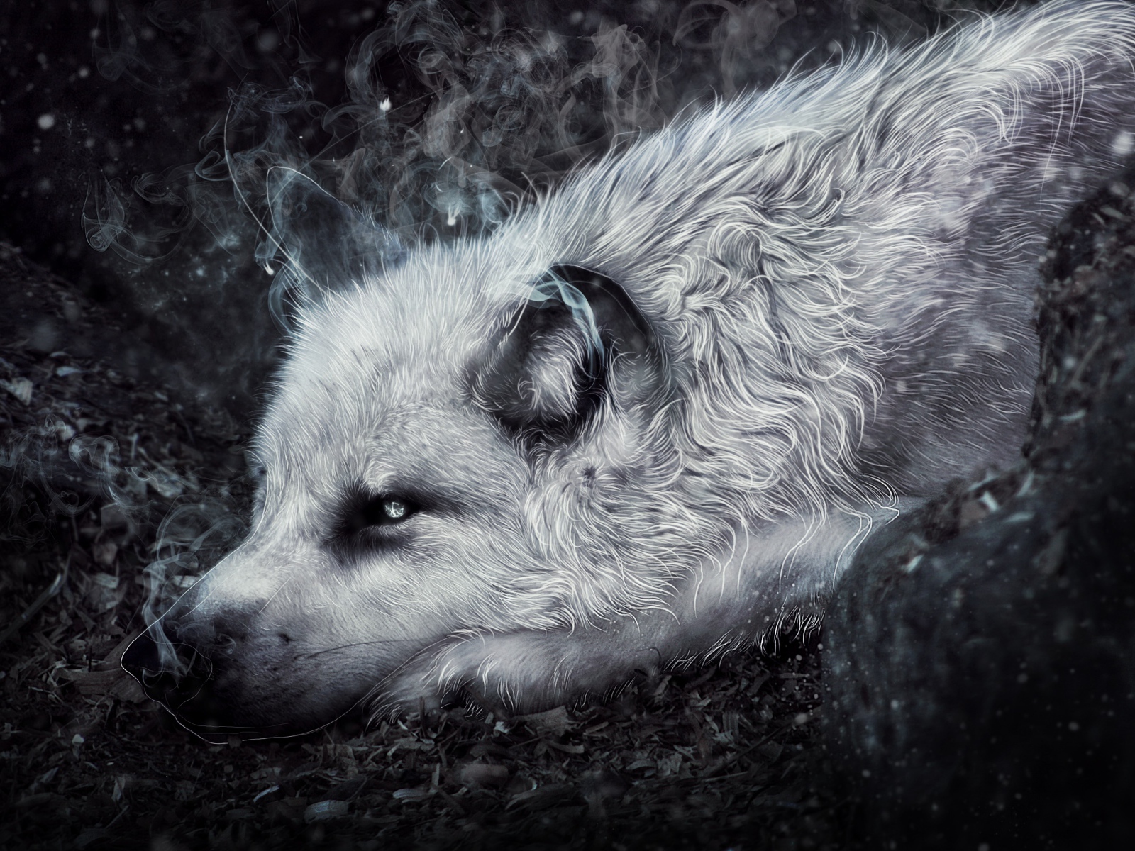 Фантастический волк лежит на земле