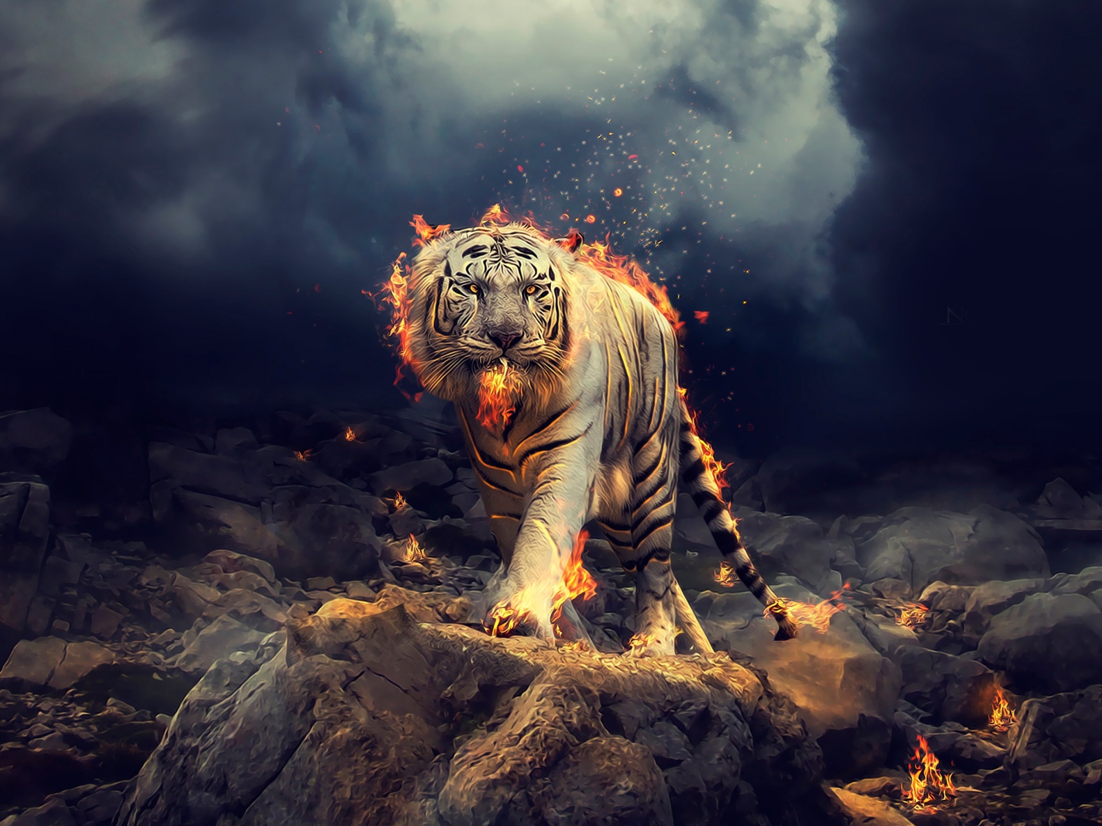 Огненный тигр идет по камням