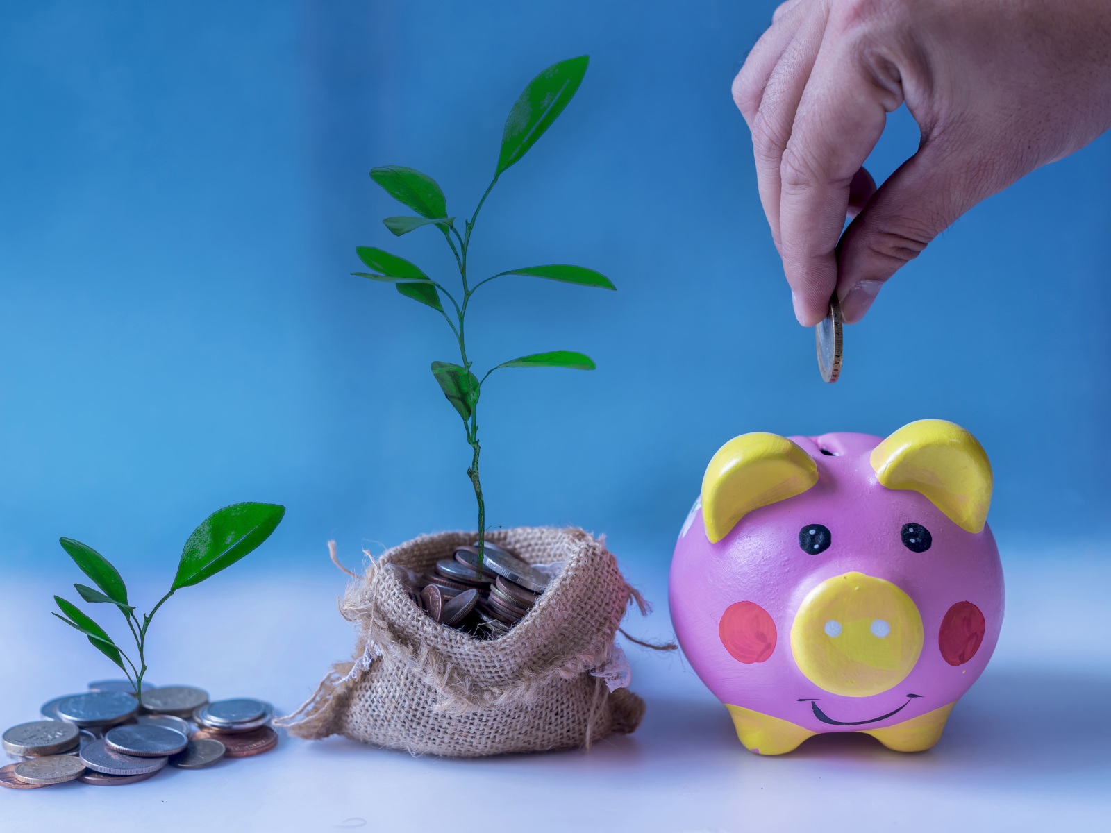 Свинья копилка и мешочек монет с денежным деревом на голубом фоне
