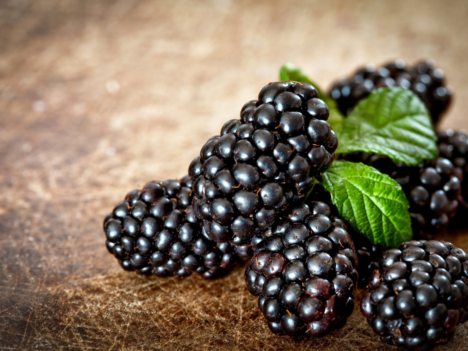 Аппетитные ягоды свежей ежевики