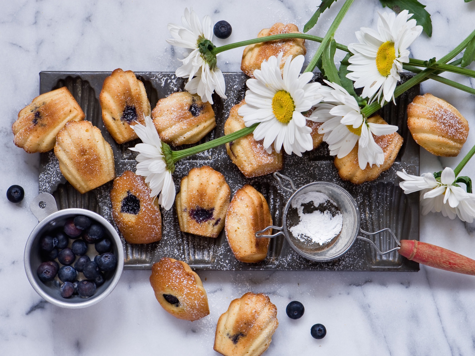 Аппетитное печенье с черникой и сахарной пудрой на столе с белыми ромашками