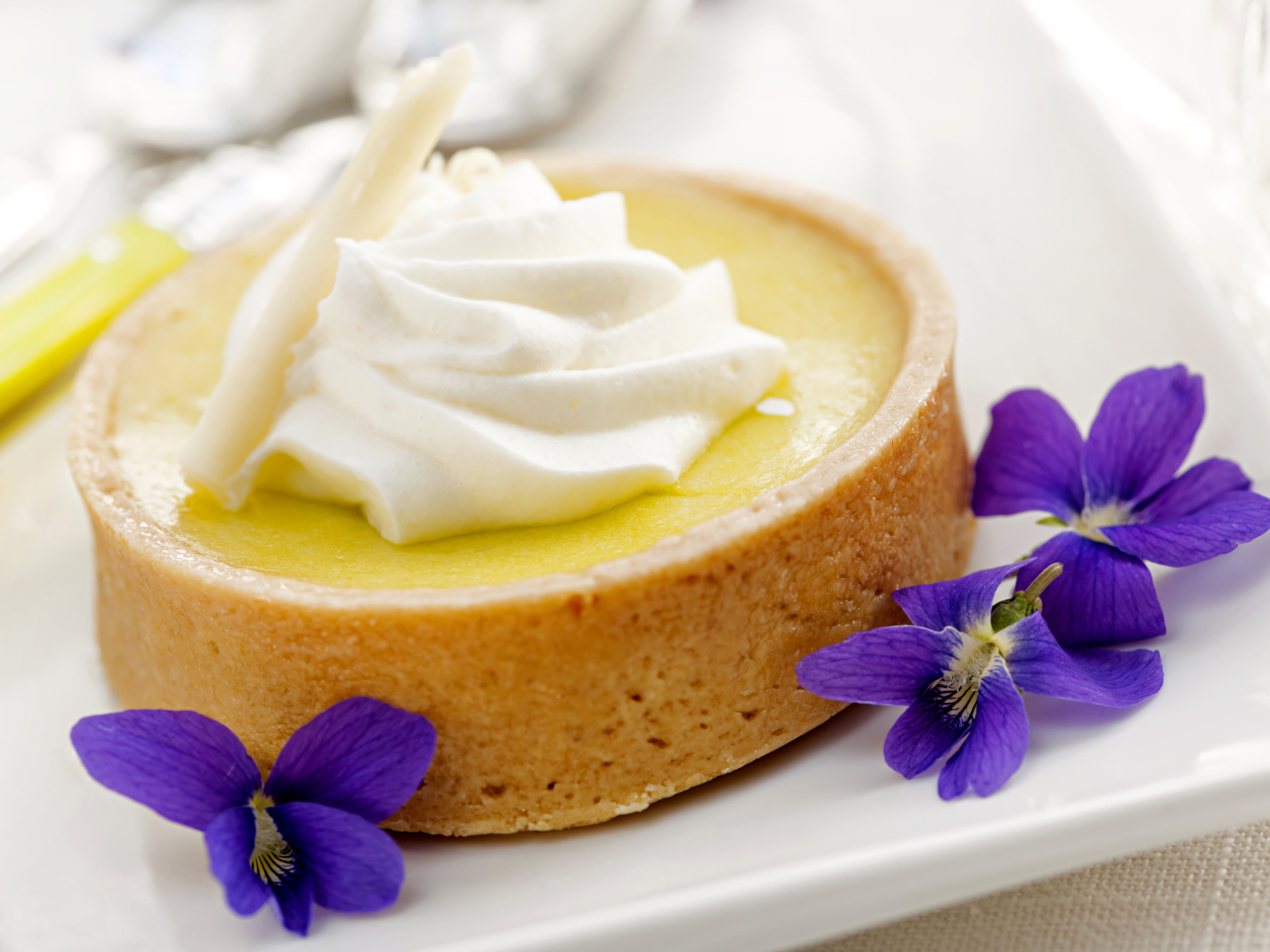 Десерт с кремом и фиолетовыми цветами на белой тарелке
